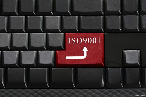 為何這些企業無需進行ISO 9001認證？