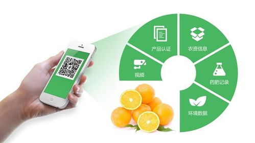 智慧農(nóng)業(yè)物聯(lián)網(wǎng)與農(nóng)產(chǎn)品全生命周期追溯體系 構(gòu)建精品農(nóng)業(yè)新生態(tài)